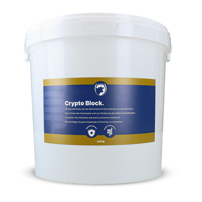 Excellent Crypto Block 4.8 kg