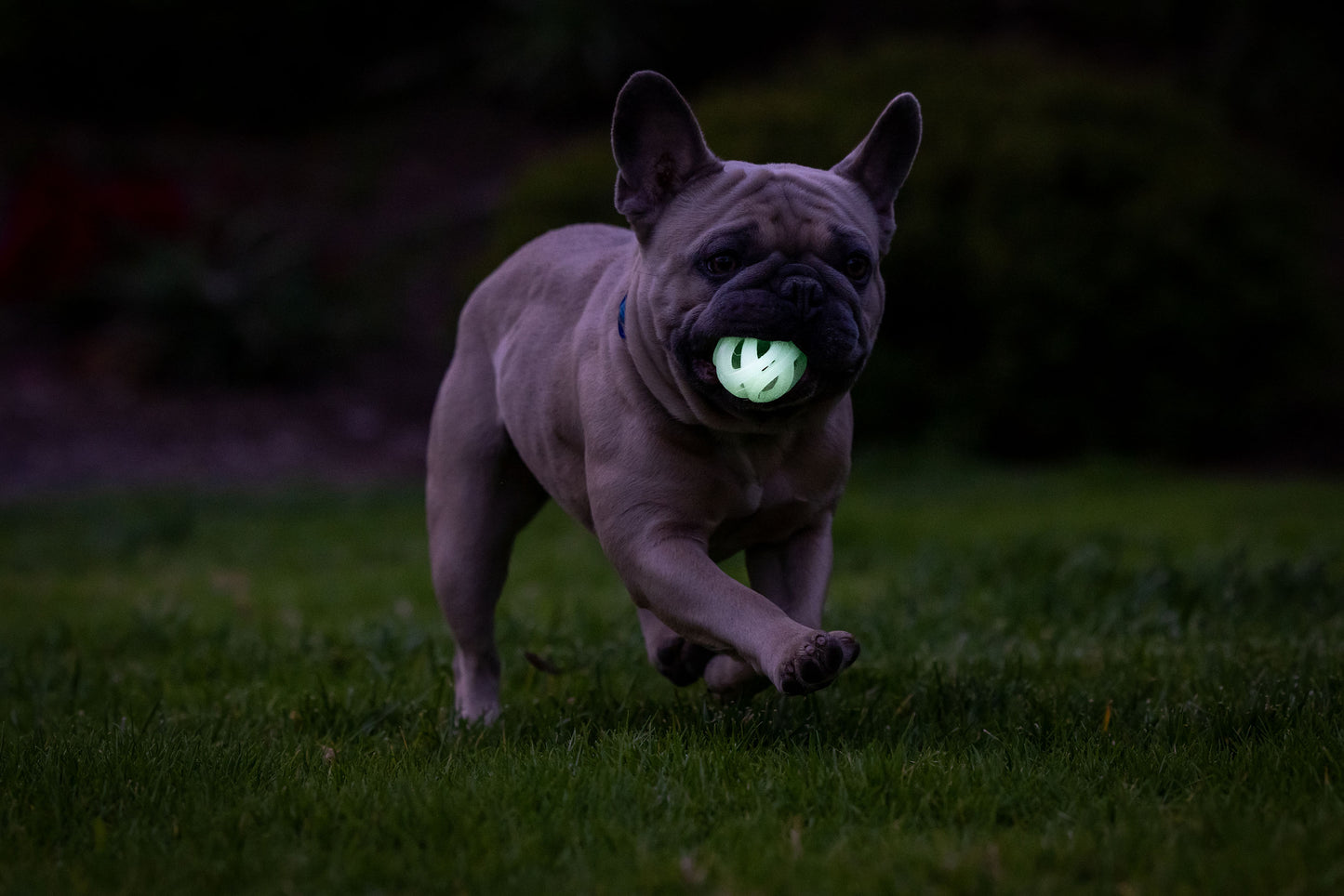 Chuckit! Air Glow Fetch Ball M (2-pack)