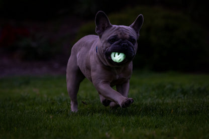 Chuckit! Air Glow Fetch Ball M (2-pack)