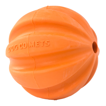 Dog Comets Swift Tuttle Orange