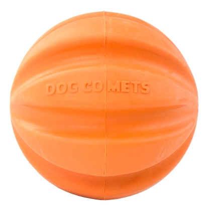 Dog Comets Swift Tuttle Orange