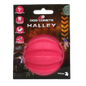 Dog Comets Halley Pink