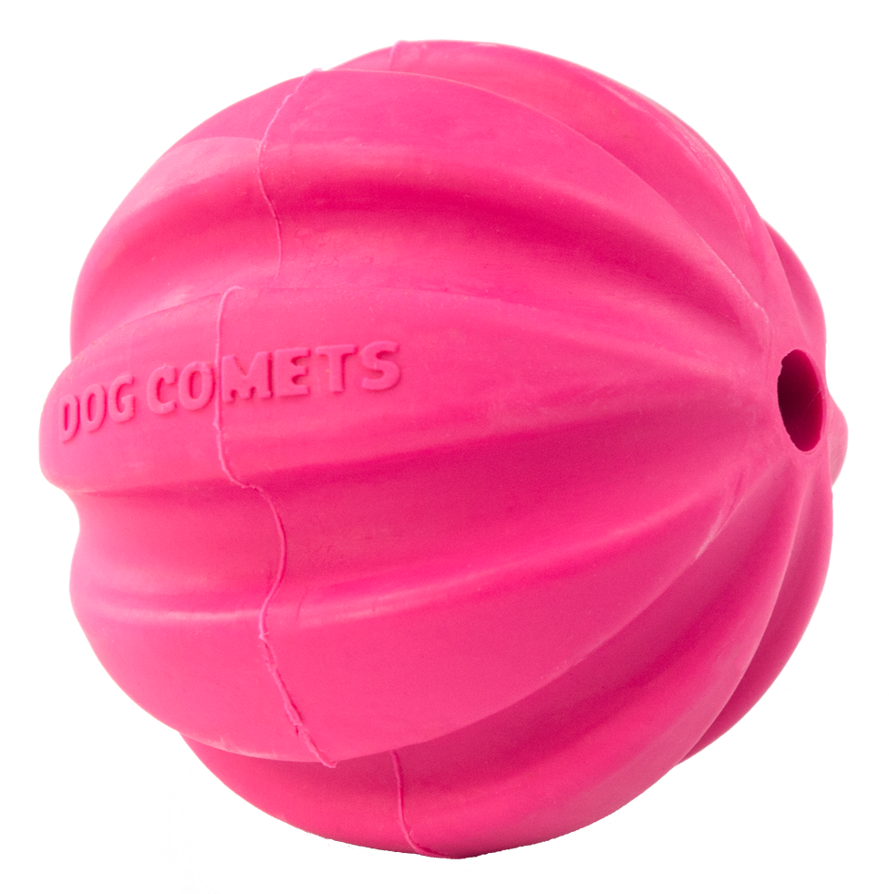 Dog Comets Halley Pink