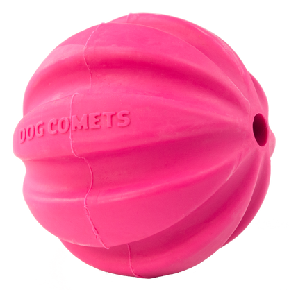 Dog Comets Halley Pink