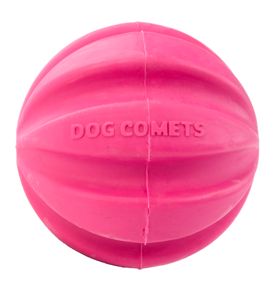 Dog Comets Halley Pink