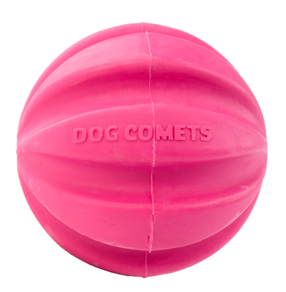 Dog Comets Halley Pink