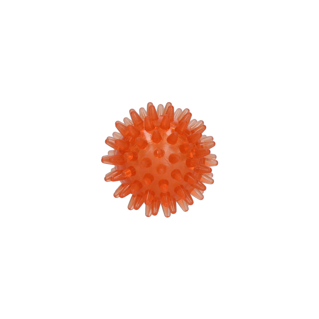 Dog Comets Exoplanet Spiky Ball S Orange
