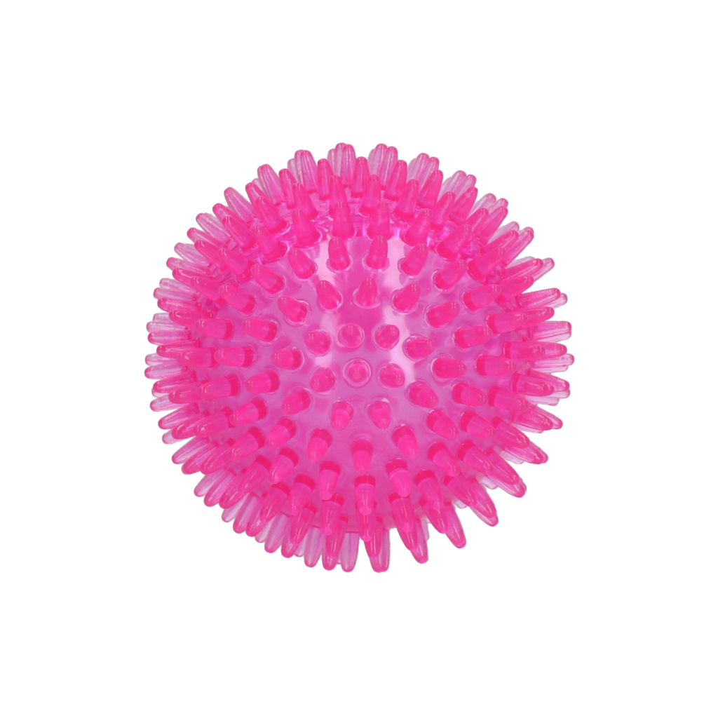 Dog Comets Exoplanet Spiky Ball M Pink