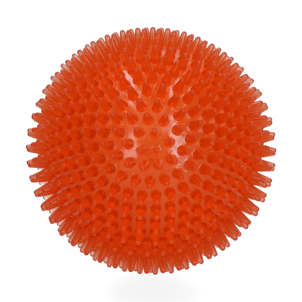 Dog Comets Exoplanet Spiky Ball L Orange