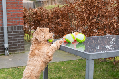 Dog Comets Glow In The Dark Moon Ball L Green