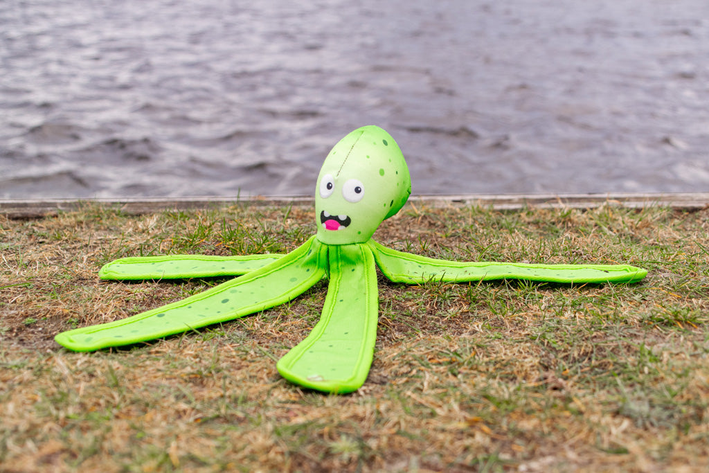 Dog Comets Alien Octo L Green