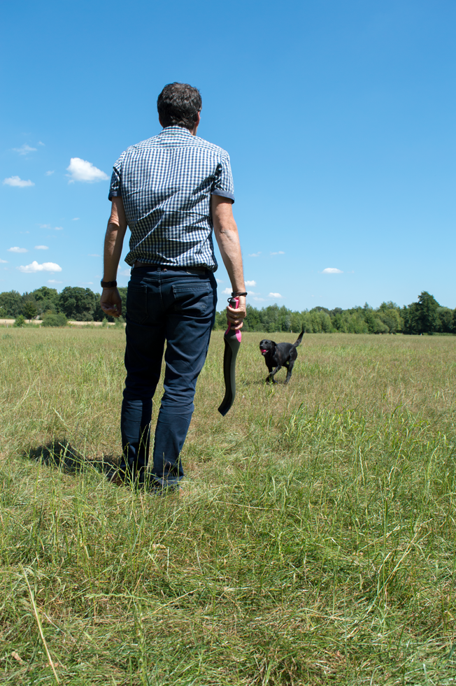 Dog Comets Star Launcher Pink