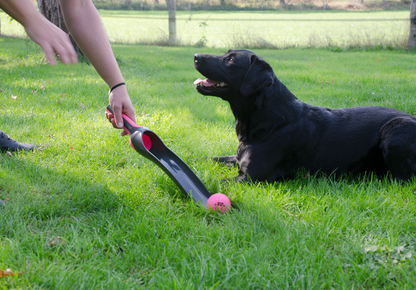 Dog Comets Star Launcher Pink