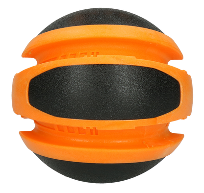 Dog Comets Planets Orange