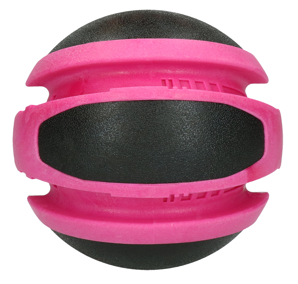 Dog Comets Planets Pink