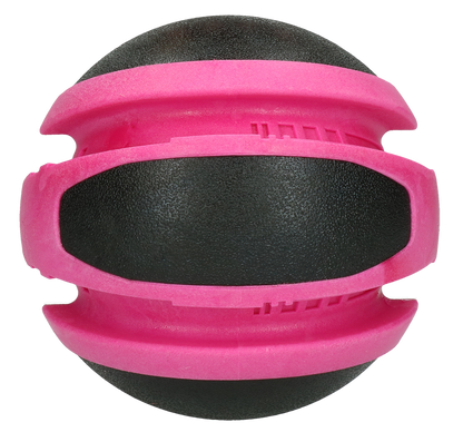 Dog Comets Planets Pink