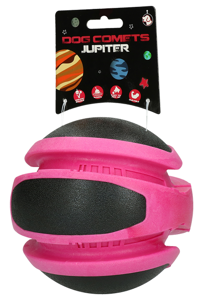 Dog Comets Planets Pink