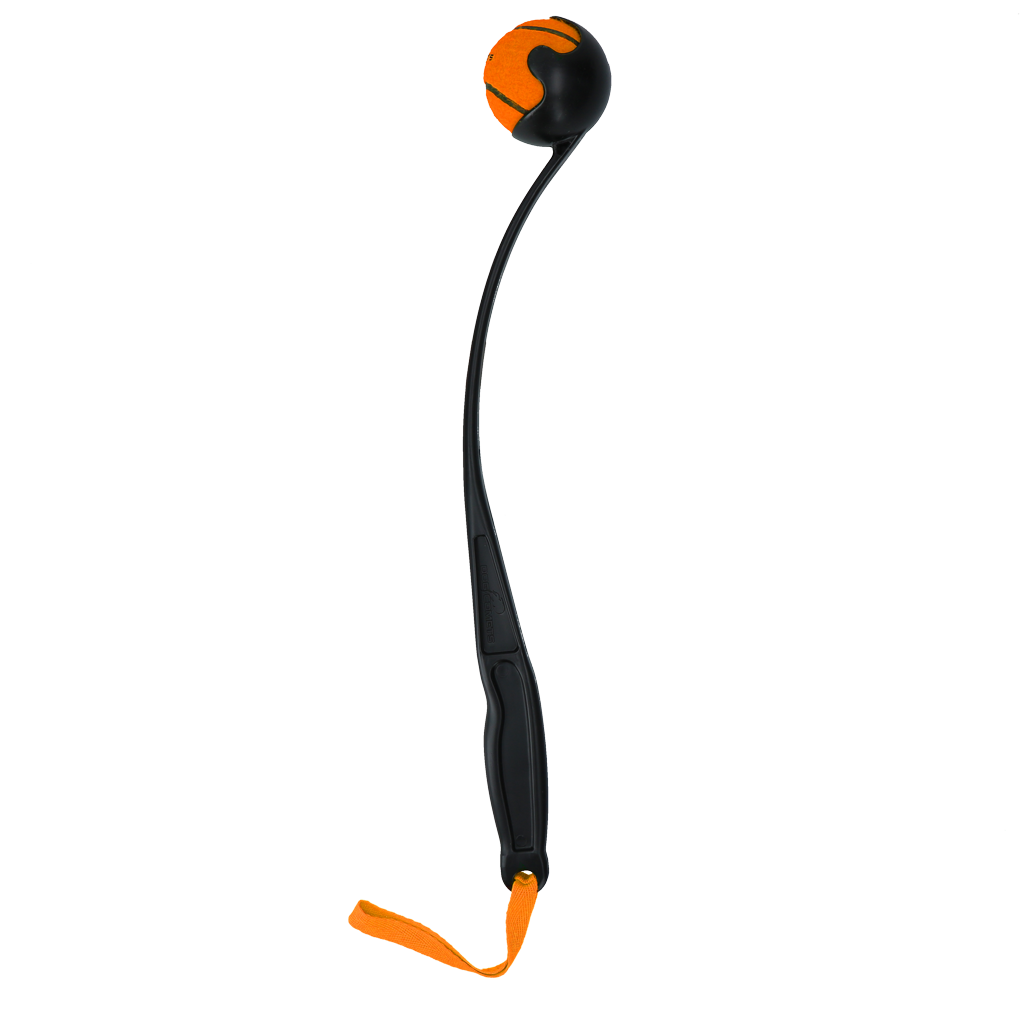Dog Comets Launcher Orange M