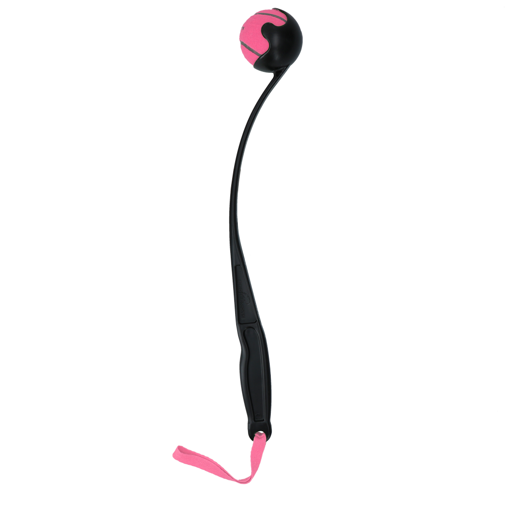 Dog Comets Launcher Pink M