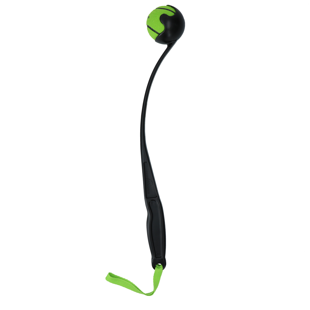 Dog Comets Launcher Green M