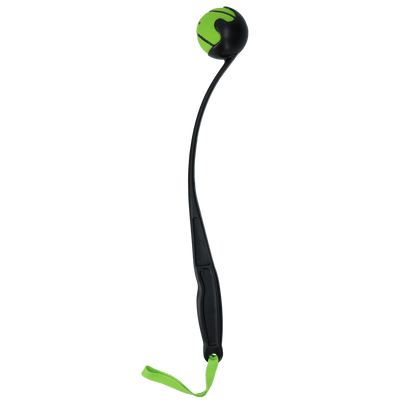 Dog Comets Launcher Green M
