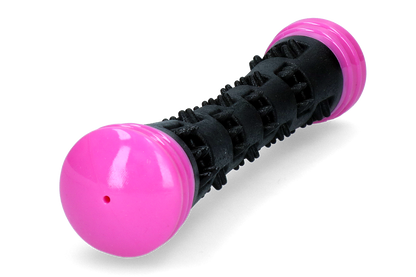 Dog Comets Meteor Throwing stick Pink S