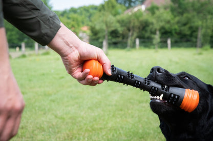 Dog Comets Meteor Throwing stick Orange L