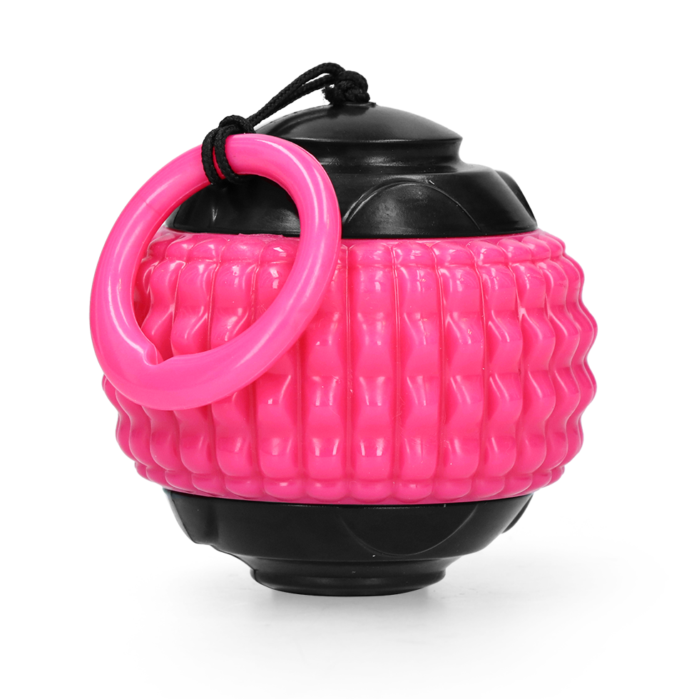 Dog Comets Blazar Jet Pink