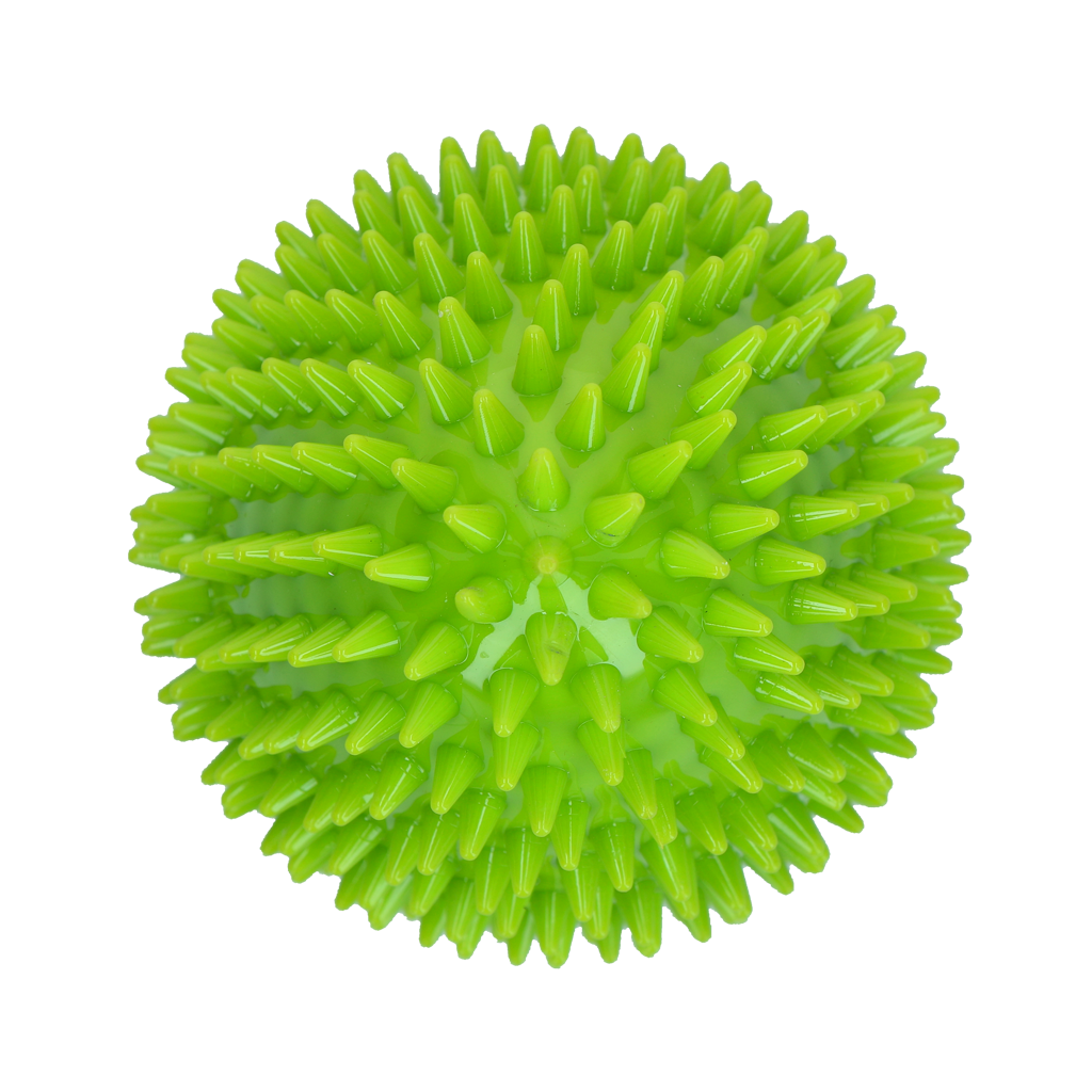 Dog Comets Cosmic Egg Green L