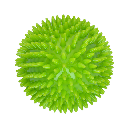 Dog Comets Cosmic Egg Green L