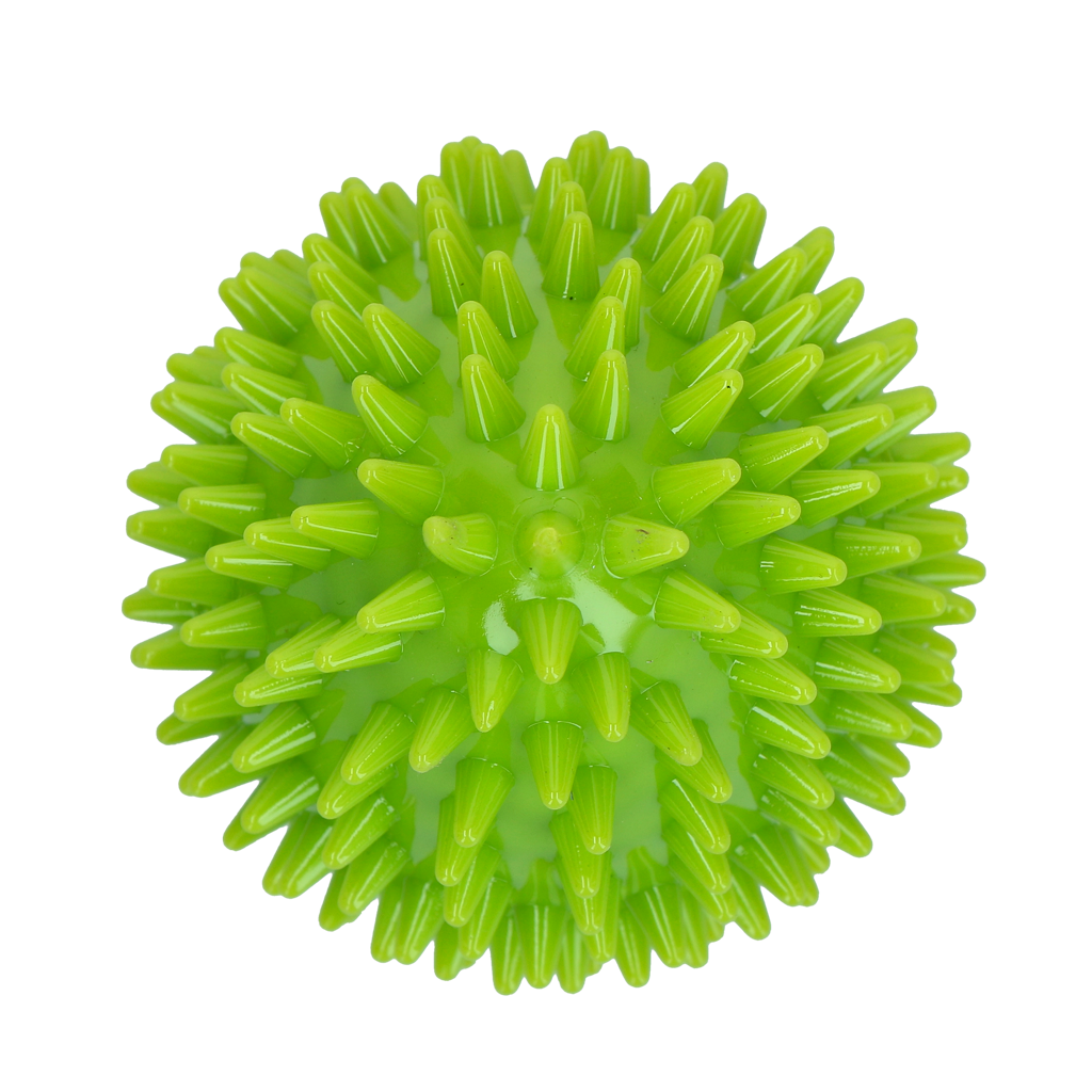 Dog Comets Cosmic Egg Green M