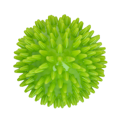 Dog Comets Cosmic Egg Green M