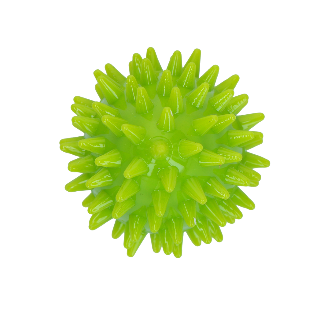 Dog Comets Cosmic Egg Green S
