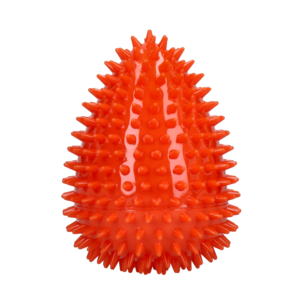 Dog Comets Cosmic Egg Orange L