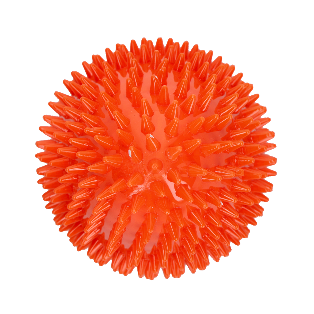 Dog Comets Cosmic Egg Orange L