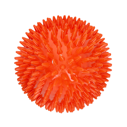 Dog Comets Cosmic Egg Orange L