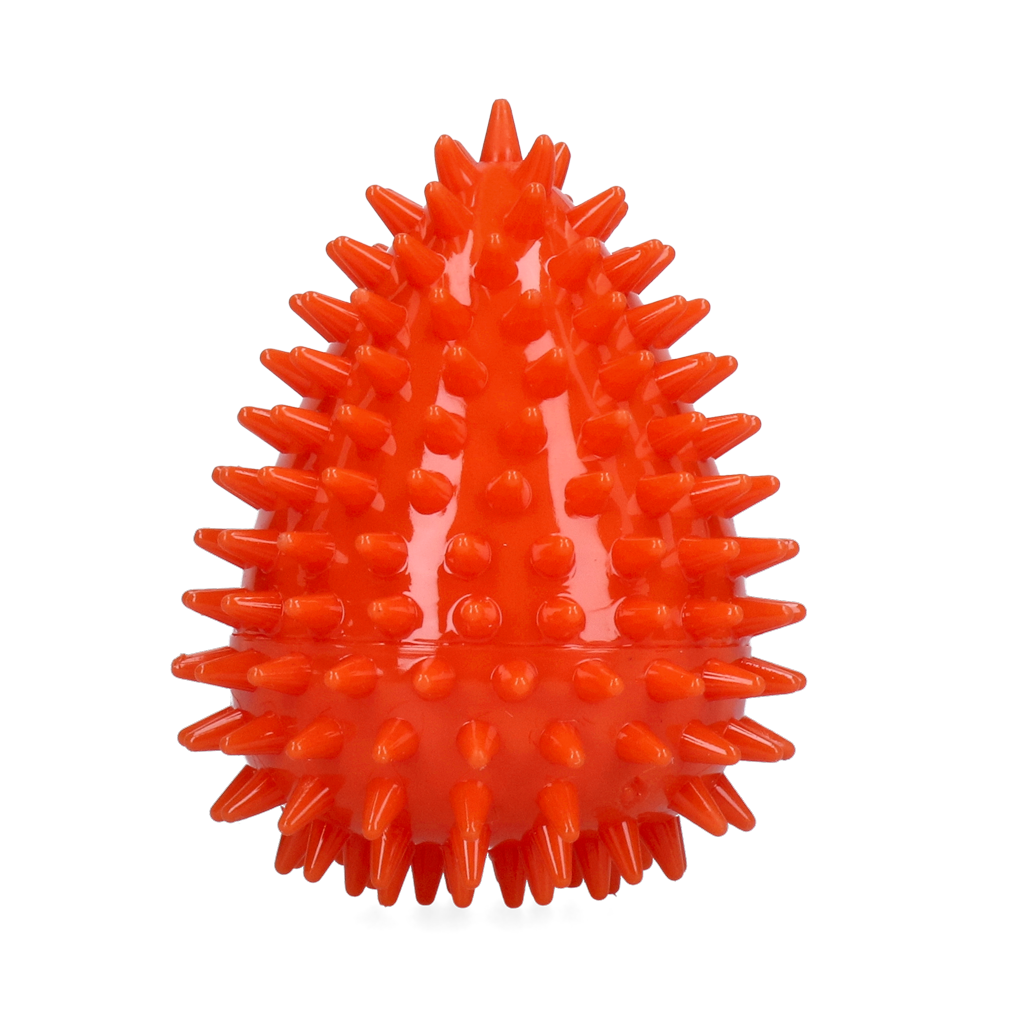 Dog Comets Cosmic Egg Orange M