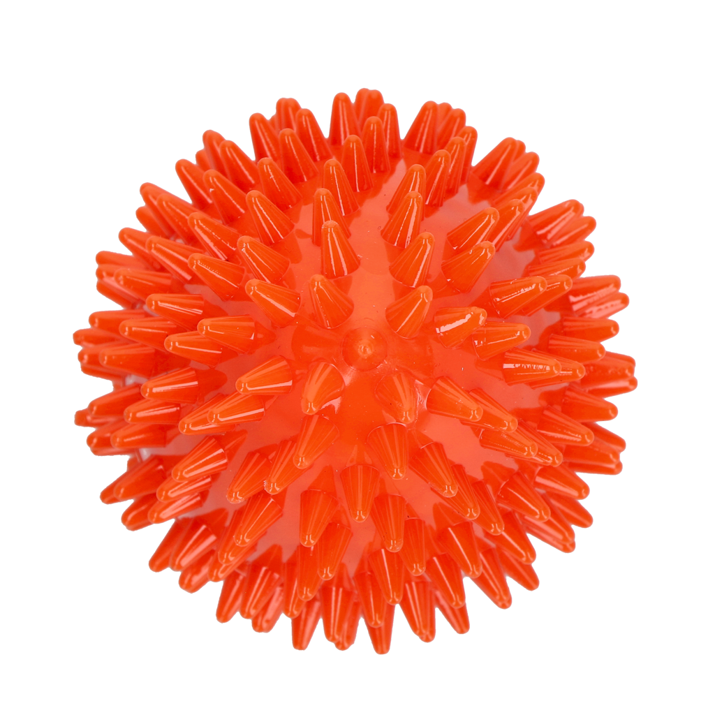 Dog Comets Cosmic Egg Orange M