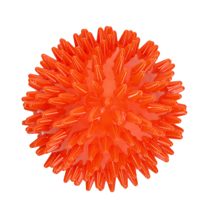 Dog Comets Cosmic Egg Orange M