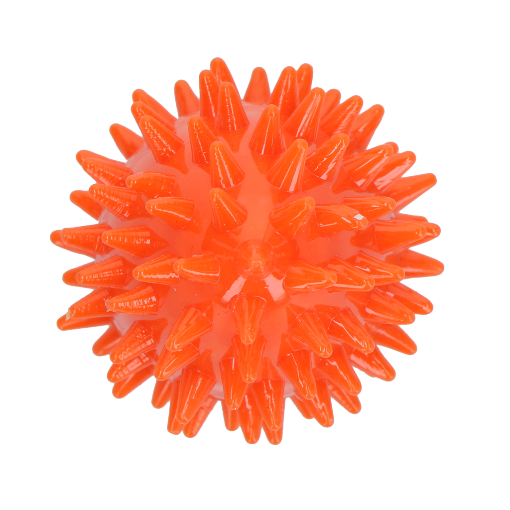 Dog Comets Cosmic Egg Orange S