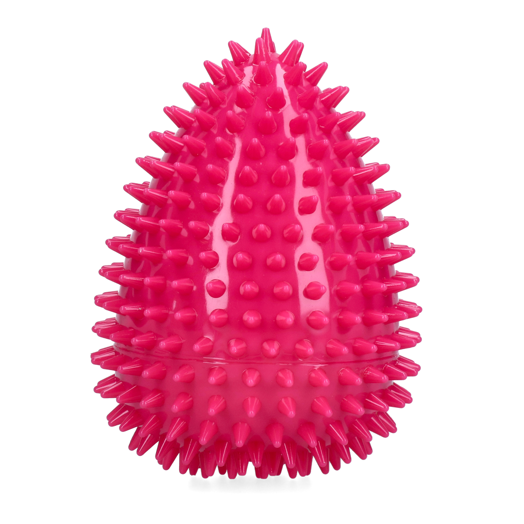 Dog Comets Cosmic Egg Pink L
