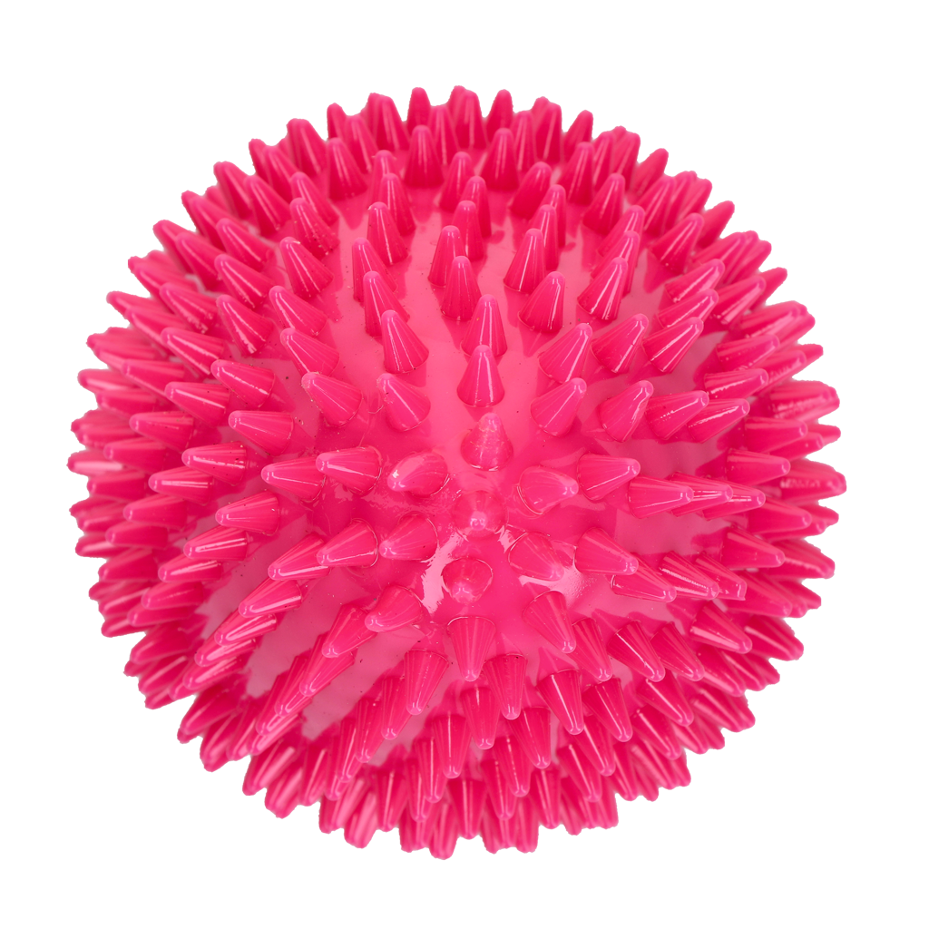 Dog Comets Cosmic Egg Pink L