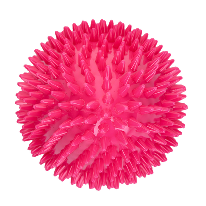 Dog Comets Cosmic Egg Pink L