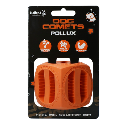 Dog Comets Pollux Orange