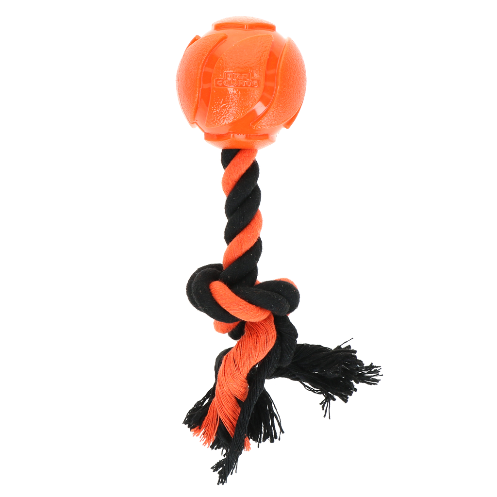 Dog Comets AstroTug Orange