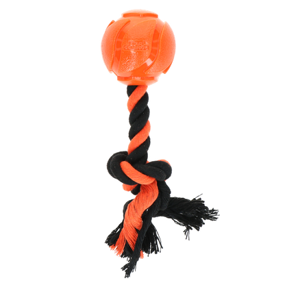 Dog Comets AstroTug Orange