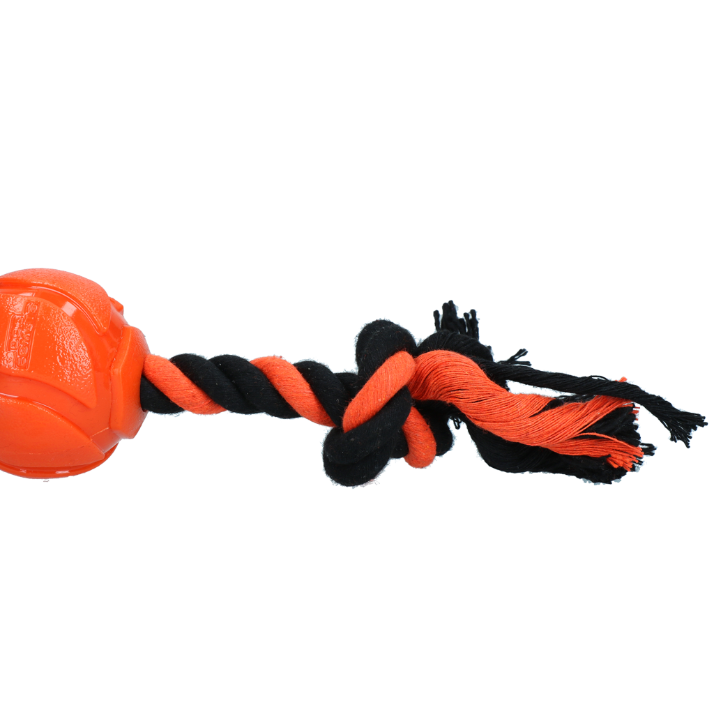 Dog Comets AstroTug Orange