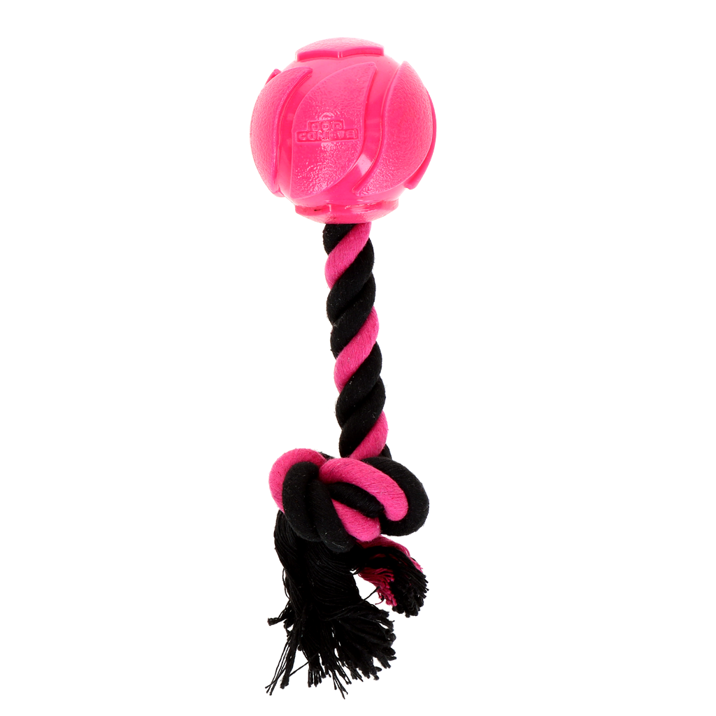 Dog Comets AstroTug Pink