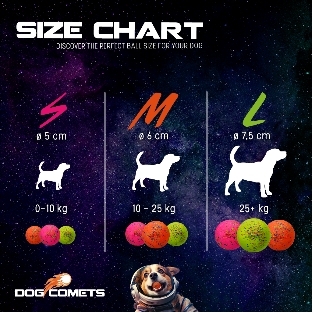 Dog Comets Stardust Orange S