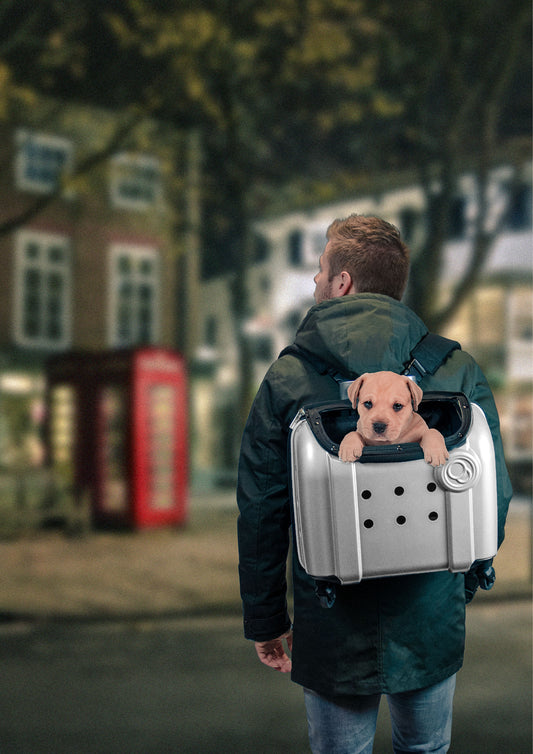 Compaws Görgős London 40 cm Szürke